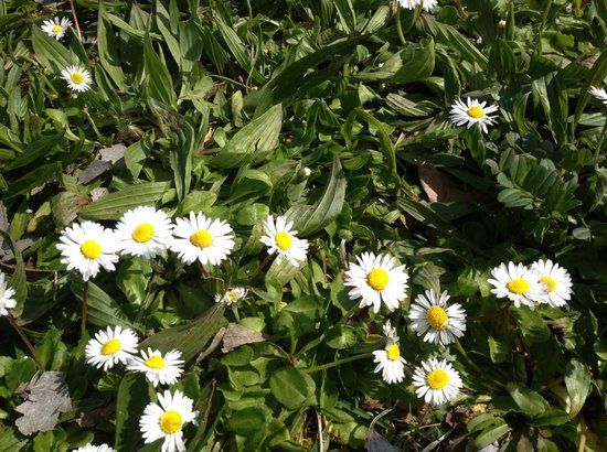 Urbano Franco Agosto Park